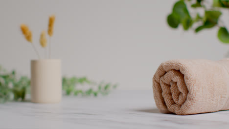 Still-Life-Of-Natural-Dried-Grasses-In-Ceramic-Vase-With-Green-Plant-And-Soft-Towels-As-Part-Of-Relaxing-Spa-Day-Decor